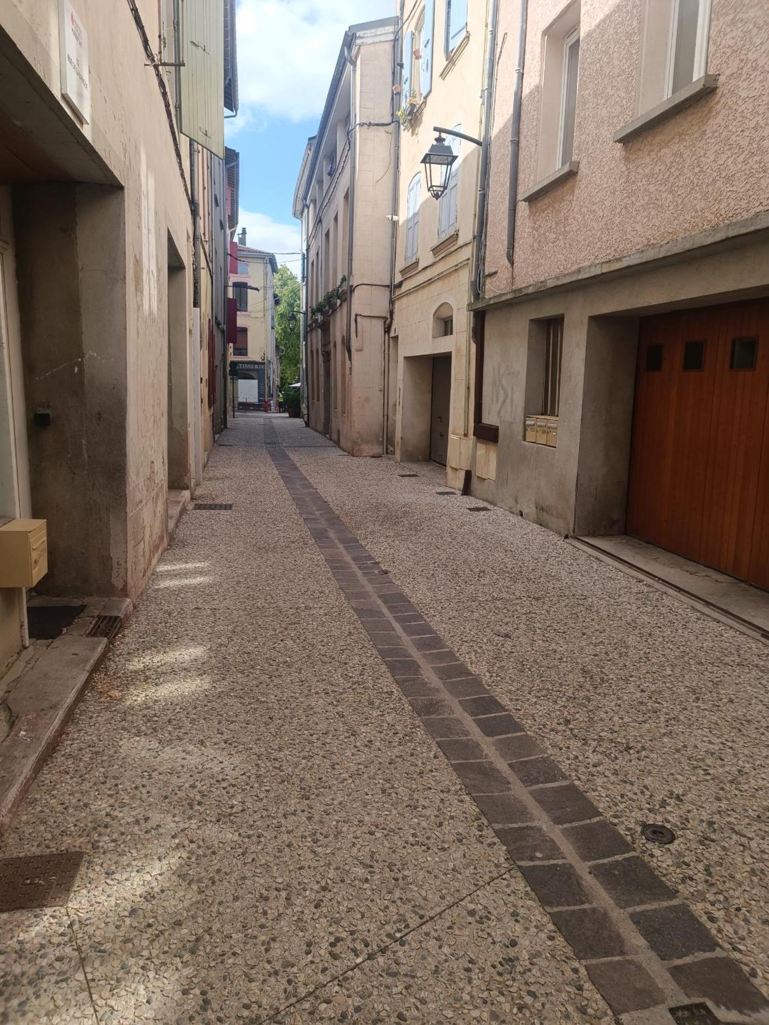 Grand Studio Meuble Chez Coco Romans-sur-Isère Εξωτερικό φωτογραφία