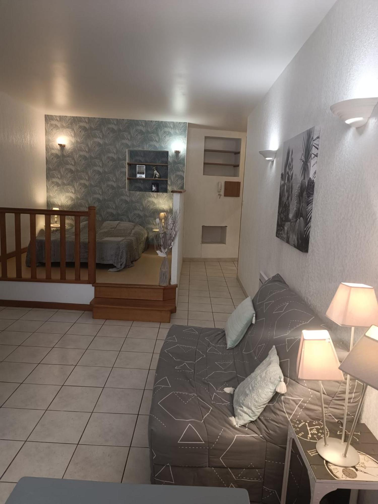 Grand Studio Meuble Chez Coco Romans-sur-Isère Εξωτερικό φωτογραφία